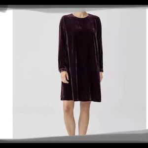 Eileen Fisher Sweet Plum Velvet Crewneck Long Sleeve Dress Size Xxs NWT